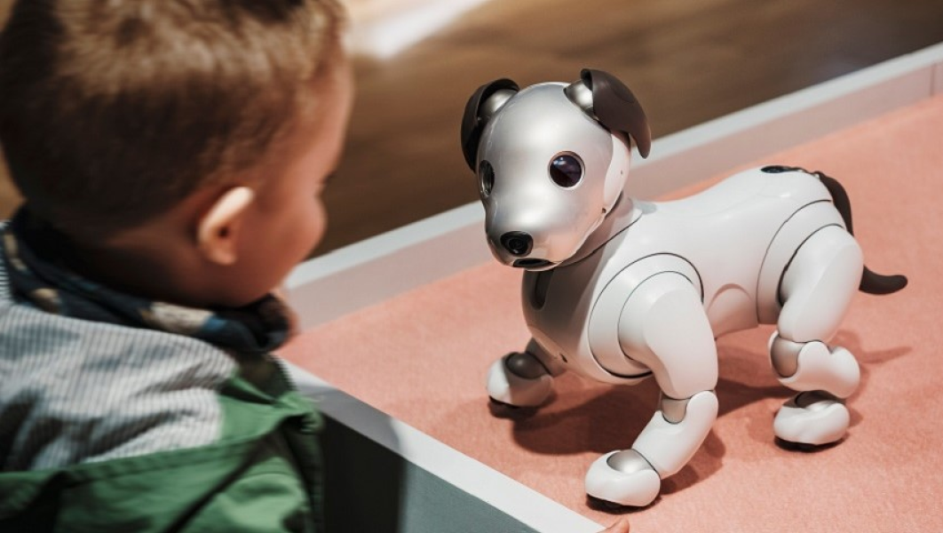 picture of a social robot 